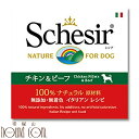 Schesir（シシア） 犬　