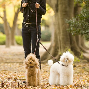 【割引クーポン配布中】犬 2頭引きリード ASHU ステップ2頭引きリード 小型犬 多頭引き 2匹用 絡まない STEP 帝塚山ハウンドカム 日本製 ※こちらは2頭引きのみ(二又部分のみ)となります。お揃いのリードをご希望の方は、別途ご購入下さい。