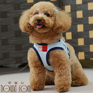 【リードは別売り】ハーネス 小型犬 ASHU クーリングウェアハーネス M クール素材 ソフトメッシュ 犬用ハーネス【犬ハーネス ペット用品 ドッグ 帝塚山ハウンドカム 楽天市場店 トイプードル チワワ おしゃれ グッズ わんこ 愛犬 パグ】
