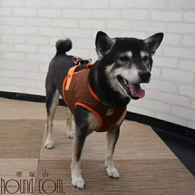 中型犬 ASHU ウェアハーネス モード LLサイズ 犬用 胴輪 ハーネス 犬 犬のハーネス【リードは別売り】 ..