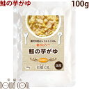 【割引クーポン配布中】犬 鮭の芋がゆ 100g×1袋 愛犬の安心レトルトごはん 低カロリー 犬用 レトルト 国産 おかゆ ウェットフード 手作り食 低カロリー 低リン 鮭 魚 粥 無添加 低脂肪 さつまいも ドッグフード ドックフード dog 帝塚山ハウンドカム