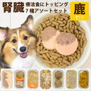 【割引クーポン配布中】【ギフトBOX付】手作り食 鹿肉の腎臓に優しい低リン7食セット【冷凍】犬 腎臓 スープ 犬用 惣菜 ドッグフード 低リン 鹿肉 腎ケア ト...