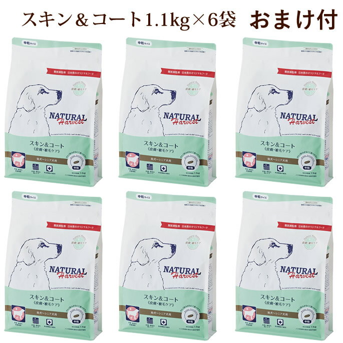 【割引クーポン配布中】犬 全年齢 スキン&コート 1.1kg×6袋 NEWパッケージ ナチュラルハーベスト 犬用 ドライフード 無添加 ドッグフード 皮膚 被毛...