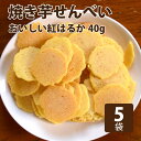 帝塚山ハウンドカム 犬 おやつ 無添加 国産 焼き芋せんべい 5袋セット (40g×5袋)
