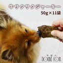 【割引クーポン配布中】犬 猫 用 ジャーキー 牛サクサクジャーキー 50g×10袋+1袋おまけセット 牛の肺 ラング 内臓 安心 無添加おやつ 国産 オヤツ 牛肉のおやつ しつけ 小犬 シニア犬 小型犬 中型犬 マルチーズ ジャックラッセルテリア パピヨン ボーダーコリー