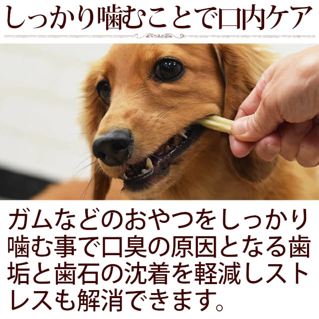 犬用おやつ なた豆ライスガムソフト 10袋セット 1袋 無添加 犬 国産 手作り食 柔らかめのガム 猫 ごはん 牛皮 キャットフード帝塚山ハウンドカムやわらかめのガムで子犬から老犬まで