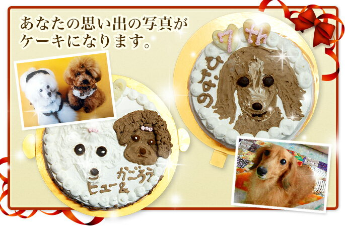 犬 似顔絵ケーキ 4号 ささみ ササミ 誕生日ケーキ 手作り 低カロリー ペット用バースディケーキ オーダー　誕生日プレゼント　犬用【a0193】