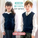 送料無料 中綿入りベスト ダウン風ベスト 子供服 裏ボア 裏起毛 キッズ ベビー ジュニア 襟付き 女の子 男の子 アウター 袖なし 防寒 あったか もこもこ 無地 単色 スナップボタン ポケット付き 上着 羽織 おしゃれ かわいい シンプル カジュアル デイリー 着回し お出かけ