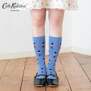 キャス キッドソン 公式 アイコンリブソックス London Dog 3色/ レディース キャスキッドソン Cath Kidston n250822