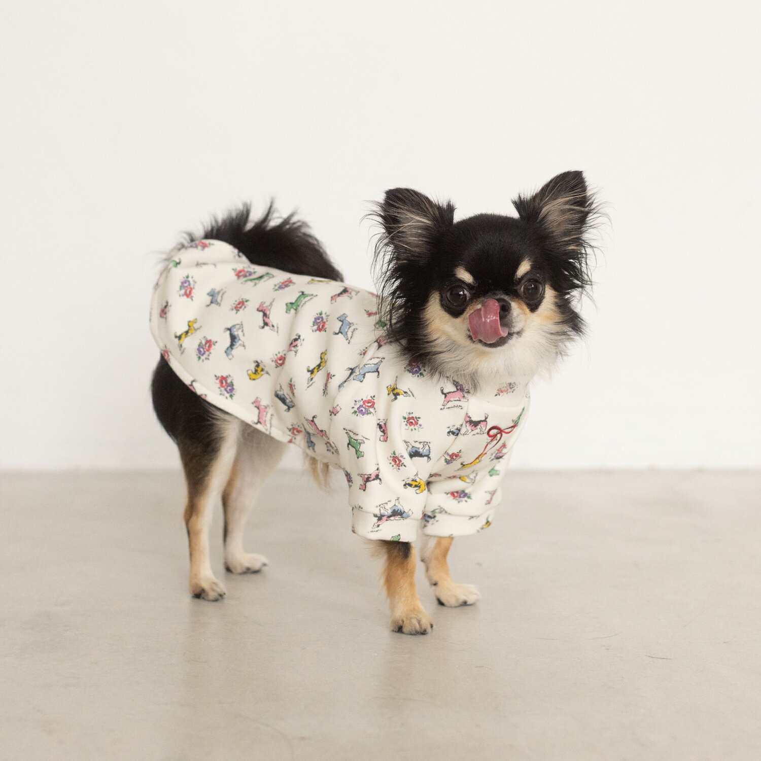 【ポイント5倍〜11/27 01:59迄】キャス