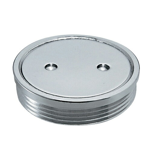 外ネジ掃除口 【4402-50】 【配管資材・水道材料】カクダイ【純正品】