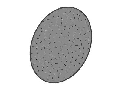 【ゆうパケット】パナソニック Panasonic コードレススティック掃除機 プレフィルター AVV43K-TB0U