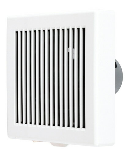 V-06PLD3 ɩ  24ִǽ ѥѥե(ӵ) ѷʻҥ ＼ȥ졦̽ 75mm³ ®ü...