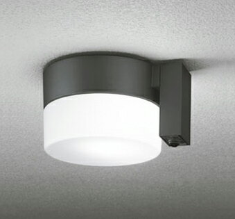 オーデリック ポーチライト 【OG254988NC】【OG 254 988NC】【メーカー取り寄せ】【代引決済・後払い決済不可】【純正品】 施主支給