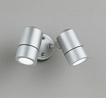 オーデリック エクステリア スポットライト 【OG254565NR】【OG 254 565NR】【代引決済・後払い決済不可】【純正品】 施主支給 昼白色 LED照明