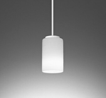 オーデリック ペンダントライト 【OP252569NR】【OP 252 569NR】 ペンダントライト【代引決済・後払い決済不可】【純正品】 施主支給 昼白色 LED照明