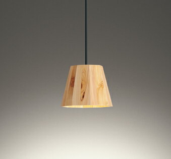 【代引・後払い不可】【OP252942LR】オーデリック　ペンダントライト LEDランプ 演色性(Ra)：94 ペンダントライト おしゃれなダイニング照明 LED照明 施主支給 電球色 LED照明