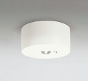 【代引・後払い不可】【OR036309P2】オーデリック 非常用照明・誘導灯器具 LED一体型 演色性(Ra):70 施主支給(3)