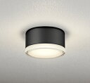 【代引・後払い不可】【OG254599LR】オーデリック エクステリアライト 施主支給 電球色 LED照明