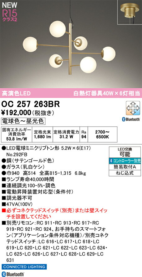 シャンデリア オーデリック OC257263BR 代引き・後払い不可ご不在時の商品配達のご連絡のため、電話番号はなるべく携帯電話の番号を入力してください。