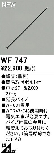 室内风机 - シーリングファン オーデリック WF747 代引き・後払い不可