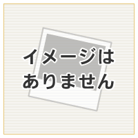 リンナイ Rinnai 021-672-000 コンロ用火