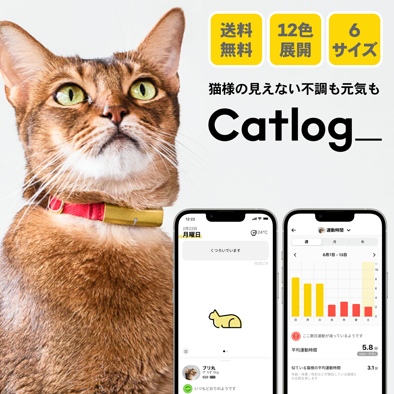 Catlog (基本セット)猫鈴ゴールド キャトログ 猫 子猫 留守番 見守り 健康管理 オシャレ 体調管理 留守 愛情 セーフティバックル 6サイズ展開 カラバリ豊富 送料無料 【猫 スマート首輪 安心安全】