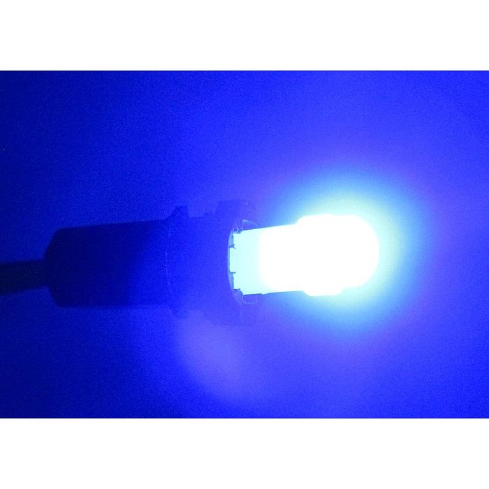 T5 LED �ŵ� ��5�������12V�� �����å��� �ʥ֥롼�ˡ�CTG-013��