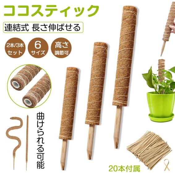 天然 植物サポート 連結 登山植物つる 水分 頑丈 耐久 植物ラベル 花支え ガーデン 延長 ジョイント式 農業用 フラワー支柱 円形 モンステラ 30cm 40cm 50cm 60cm 70cm 80cm?【おしゃれな雰囲気に】天然のココナツ繊維が原材料になり、自然になじみやすくて見栄えが良いです。見た目にもインテリア効果を崩さず、モンステラと一体になっておしゃれな雰囲気が味わえます。?【丈夫で耐久性が良い】木の棒が土に入れやすく、植物に害なく、環境に優しい素材を採用しております。太くて耐久性が良くて、植物を強力に支え、倒れることを防げます。?【連結タイプ・長さ伸ばせる】植物の成長に合わせて上に継ぎ足していけます。モンステラが盛んに成長しますので太くて長い支柱が必要です。上継ぎ足せば、植物をお好みの高さまで育てることができますので、成長ももっと楽しめます。?【植物の成長に良い】繊維部に植物が巻き付きやすくなりますので水分も吸収しやすくなります。ココナツ繊維を使い、幹を安定させてあげることで、モンステラのバランスを整えることができます。バランスがよくなれば、葉が密集することが防げるので日当たりや風通し、また害虫予防の効果まで得られますし、株の異常にも早く気付くこともできます。?【適応植物】ヘデラ類、ポトス、フィロデンドロン、モンステラシンゴニューム等宅配便送料無料送料無料ライン対象※送料は購入手続きにてお届け先住所を指定した後に確定します。このペ一ジではお届け先·配送方法を指定できませんのでご注意ください。※ 離島·一部地域は追加送料がかかる場合があります。※送料無料という表現は送料込みと同様の意味になります。いずれも、送料を追加でお支払いいただく必要がないということを示しています。送料無料ラインについて天然 植物サポート 連結 登山植物つる 水分 頑丈 耐久 植物ラベル 花支え ガーデン 延長 ジョイント式 農業用 フラワー支柱 円形 モンステラ 30cm 40cm 50cm 60cm 70cm 80cm?【おしゃれな雰囲気に】天然のココナツ繊維が原材料になり、自然になじみやすくて見栄えが良いです。見た目にもインテリア効果を崩さず、モンステラと一体になっておしゃれな雰囲気が味わえます。?【丈夫で耐久性が良い】木の棒が土に入れやすく、植物に害なく、環境に優しい素材を採用しております。太くて耐久性が良くて、植物を強力に支え、倒れることを防げます。?【連結タイプ・長さ伸ばせる】植物の成長に合わせて上に継ぎ足していけます。モンステラが盛んに成長しますので太くて長い支柱が必要です。上継ぎ足せば、植物をお好みの高さまで育てることができますので、成長ももっと楽しめます。?【植物の成長に良い】繊維部に植物が巻き付きやすくなりますので水分も吸収しやすくなります。ココナツ繊維を使い、幹を安定させてあげることで、モンステラのバランスを整えることができます。バランスがよくなれば、葉が密集することが防げるので日当たりや風通し、また害虫予防の効果まで得られますし、株の異常にも早く気付くこともできます。?【適応植物】ヘデラ類、ポトス、フィロデンドロン、モンステラシンゴニューム等宅配便送料無料送料無料ライン対象※送料は購入手続きにてお届け先住所を指定した後に確定します。このペ一ジではお届け先·配送方法を指定できませんのでご注意ください。※ 離島·一部地域は追加送料がかかる場合があります。※送料無料という表現は送料込みと同様の意味になります。いずれも、送料を追加でお支払いいただく必要がないということを示しています。送料無料ラインについて