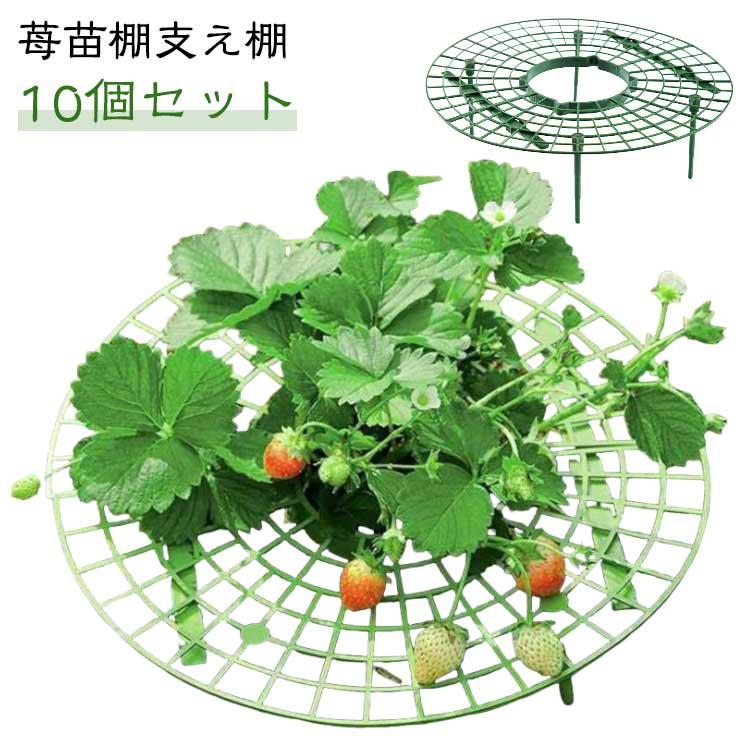 園芸支柱 【10個セット】イチゴ棚 【10個セット】イチゴ棚 設置簡単 いちご栽培 イチゴ栽培ラック 栽培..