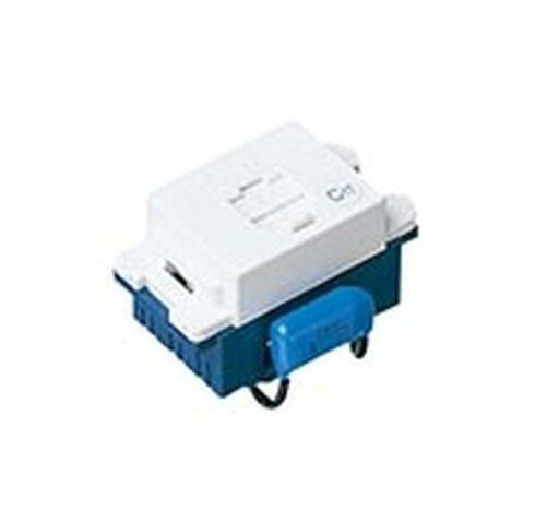 パナソニック 埋込C付テレホンモジュラジャック 6極4心 セラミックホワイト WN4624CWK パナソニック 埋込C付テレホンモジュラジャック 6極4心 セラミックホワイト WN4624CWK