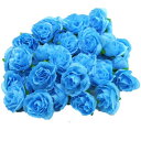 (Mikishin) バラ 造花 50個 3cm ブーケ ローズ 薔薇 結婚式 ブローチ 装飾 (ブルー)(3)
