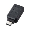 サンワサプライ(Sanwa Supply) TypeーC-USB A変換アダプタ AD-USB28CAF(2)