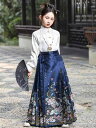 女児 女の子 キッズ 子供 馬面スカート 巻きスカート 伝統衣装 漢服 中国民族衣装 古典衣装 チャイナ服 中国風 上下セット 新作 春夏秋冬 オールシーズン ...