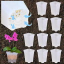 Leap Raupe スリット鉢 透明 プラ鉢 多肉植物 鉢 植木鉢 プラスチック 硬質(3)