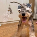 中小型犬用 シュナウザー 犬 猫ちゃん向け グレー 灰色 小魚 魚モチーフ かわいいデザイン ペット用 ストレス解消 退屈しのぎ 気分転換 遊び道具 おもちゃ帽子 ハット キャップ ペット用品 グッズ