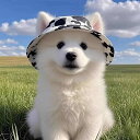 ペット用 帽子 キャップ ハット 猫 犬 牛柄 バケットハット フィッシャーマンハット アウトドア お散歩 耳出し 耳穴付き 夏用 サマー 日よけ UVカット 紫外線対策 サモエド ビションフリーゼ 柴犬 小型犬 中型犬 大型犬