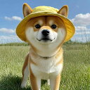 愛犬 愛猫用 かわいい 耳穴付き ペット帽子 夏用 アウトドア お散歩 日よけ 日差し対策 バケットハット フィッシャーマンズハット 柴犬 デボンレックス ビションフリーゼ 小型犬 中型犬に最適 おしゃれな日除けキャップ