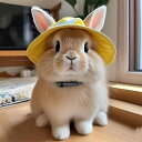 ペット うさぎ 猫 犬 用 夏 お出かけ 外出時 日差し対策 日焼け防止 UVカット 日よけ帽 サンハット 遮光帽子 ドワーフロップイヤー 垂れ耳うさぎ ネザーランドドワーフ ドワーフラビット バケットハット フィッシャーマンハット 頭飾り キャップ