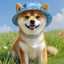 ペット 犬 猫 ワンちゃん ネコちゃん 用 柴犬 コーギー ビション 向け 耳出し 耳穴付き 漁師帽 バケットハット 帽子 キャップ ハット 可愛い かわいい キュート 夏 夏用 サマー 日よけ帽 遮光 熱中症対策