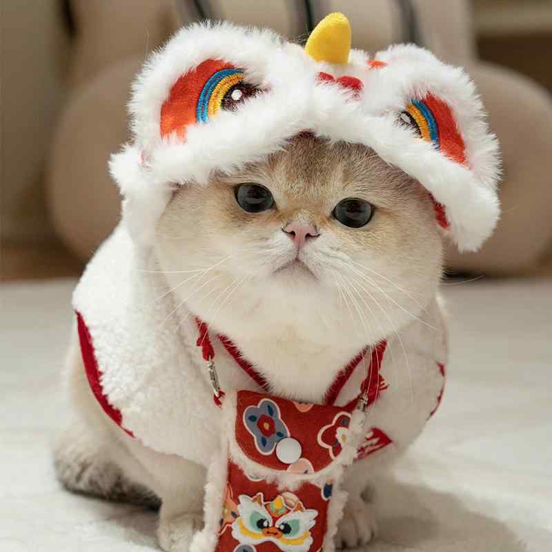 犬 猫 用 ペット 向け お正月 新年 年末年始 縁起物 仮装 変身 コスチューム 衣装 服 獅子舞 獅子 頭飾り かぶりもの 帽子 ハット ヘッドギア イベント グッズ