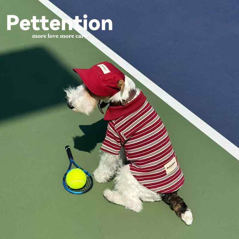 春 夏 愛犬用 犬服 ドッグウェア ワンちゃん用 ペットウェア 赤色 ストライプ柄 縞模様 Tシャツ トップ..