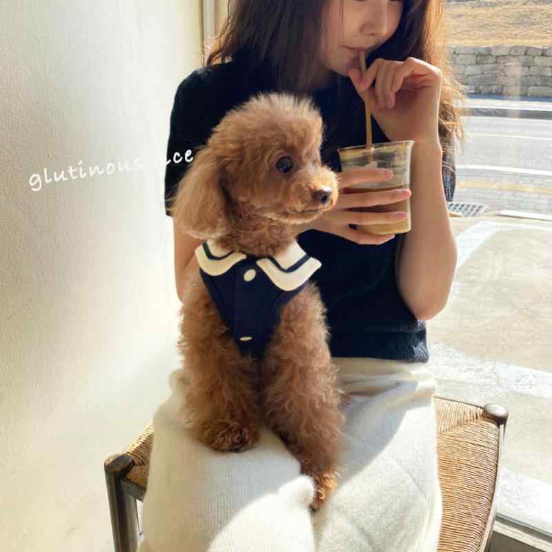 小型犬 愛犬 愛猫 ペット 洋服 服 ウェア ベスト チョッキ 袖なし タンクトップ 抜け毛防止 毛落ち対策 換毛期 テディ ビション トイプードル