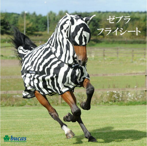 【送料無料】Bucas ビューカス バズ・オフ・ゼブラ・フライシート 乗馬 乗馬用 乗馬用品 馬具 馬用 馬着 【送料無料】Bucas ビューカス バズ・オフ・ゼブラ・フライシート 乗馬 乗馬用 乗馬用品 馬具 馬用 馬着
