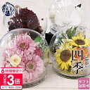 【P3倍】母の日 2025 花 プリザーブドフラワー 和風 ガラスドーム ケース入り かわいい ガラス 還暦 お祝い 誕生日 ギフト 花 薔薇 ローズ 胡蝶蘭 ...