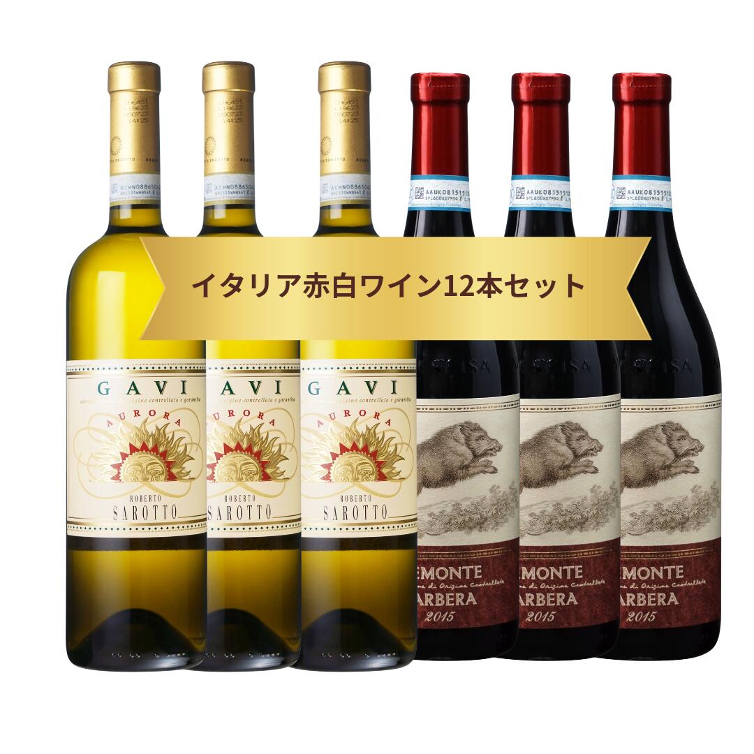 ꥨ뤪ᥤꥢ磻󤪤12ܥå ԥƽ Х١ GAVI᡼
