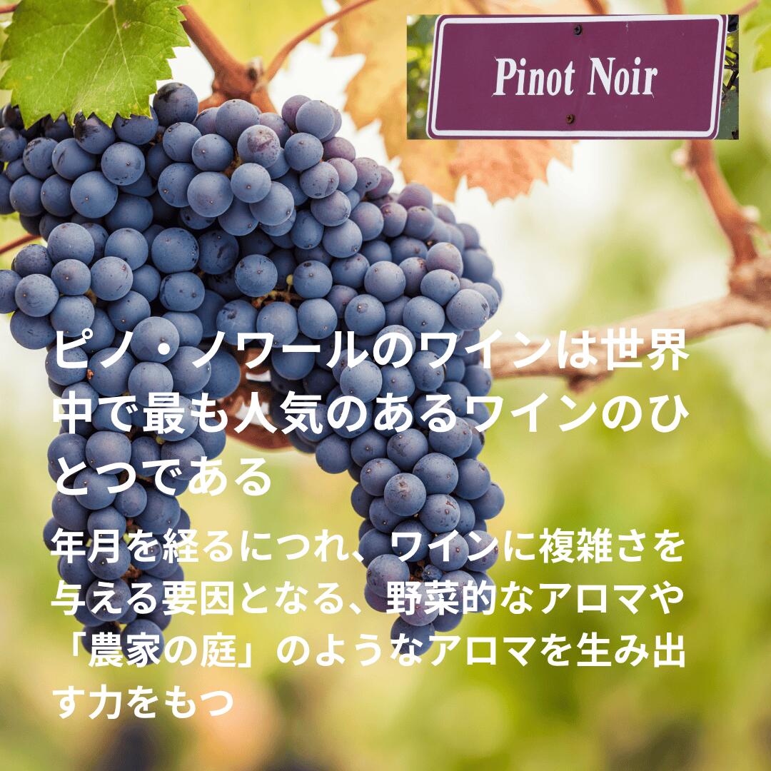 [2023] コトー ブルギニョン ルージュ 赤 750ML　フランス ブルゴーニュ 赤ワイン　ソムリエ おすすめ メーカーお取り寄せ cave--entre-duex-vins-10000291 Cave Entre Duex Vins サンプル画像2