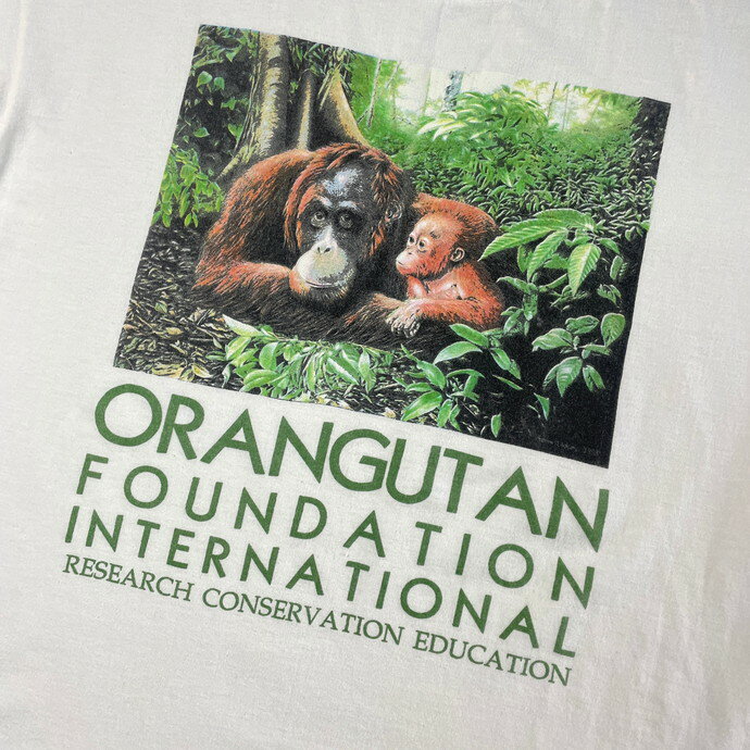 90N USA ORANGUTAN FOUNDATION INTERNATIONAL IE[^ Aj} A[g vgTVc YL yÒzyÁzySS2309z