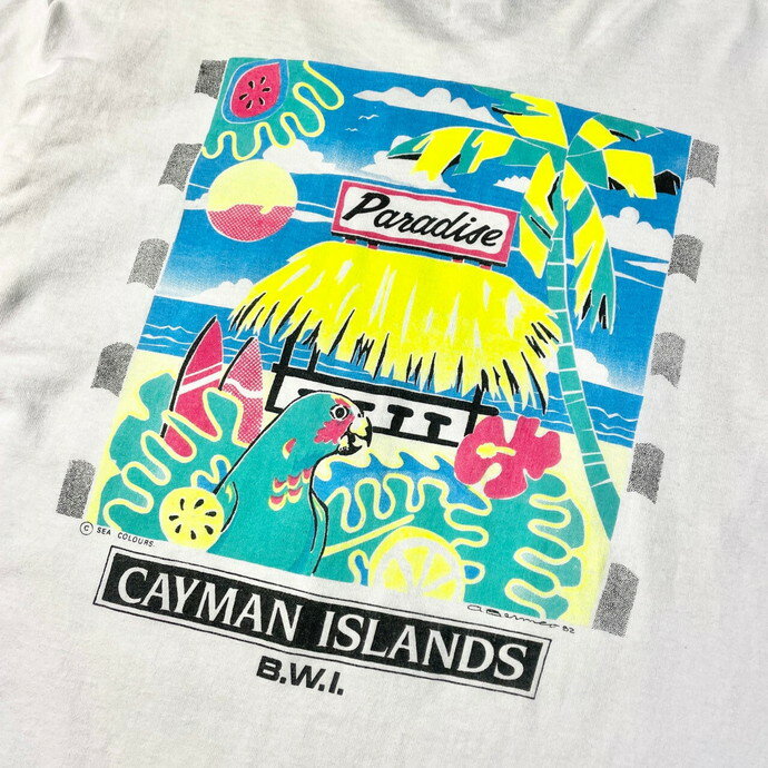 90N USA CAYMAN ISLANDS A[g X[xjA vgTVc YL yÒzyÁzySS2309z