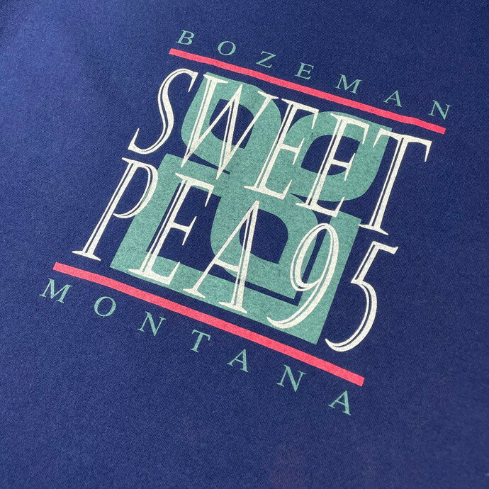 USA製 90年代 SWEET PEA 95 フェス スーベニアプリントTシャツ メンズXL 【古着】【中古】【SS2309】